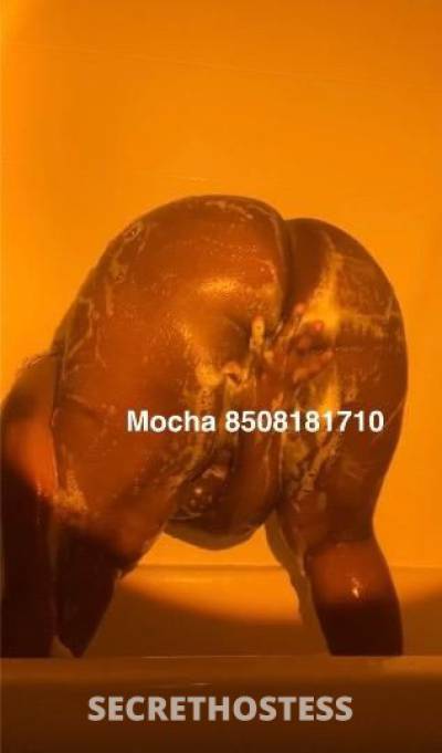 Mocha 24Yrs Old Escort Jacksonville FL Image - 2