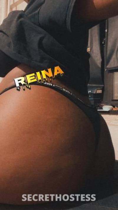 Reina 21Yrs Old Escort Bronx NY Image - 3