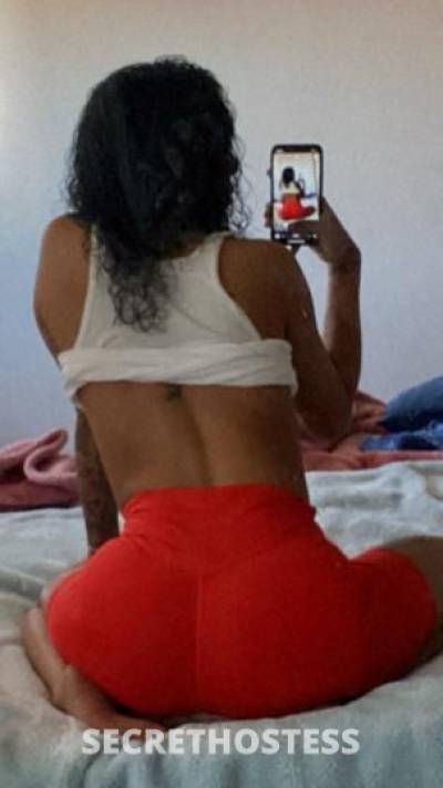 Roxi 21Yrs Old Escort Los Angeles CA Image - 5