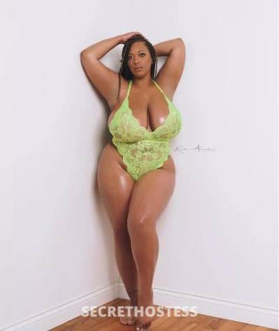 Shyy 22Yrs Old Escort Los Angeles CA Image - 0