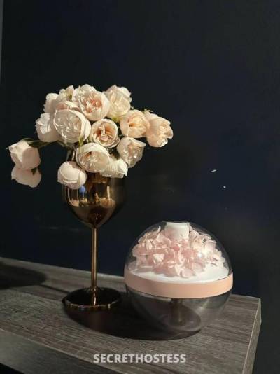 20Yrs Old Escort Sydney Image - 12