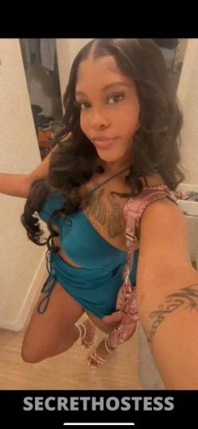 21Yrs Old Escort Los Angeles CA Image - 5