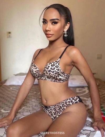 24Yrs Old Escort 162CM Tall Phuket Image - 17