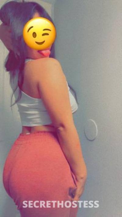 24Yrs Old Escort Dallas TX Image - 0