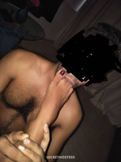 Twigy - Slave for Ladies, Male escort in Colombo