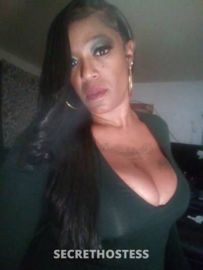 44Yrs Old Escort Sacramento CA Image - 2