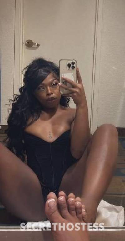 Angel 24Yrs Old Escort North Jersey NJ Image - 5