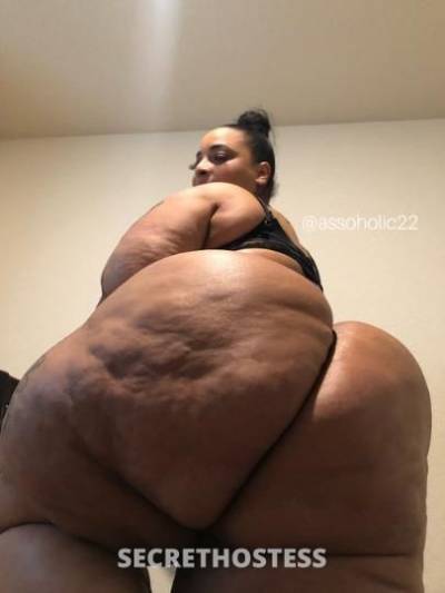 Assoholic 35Yrs Old Escort Palm Springs CA Image - 10