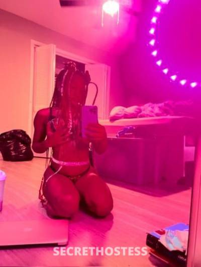 Baabie 25Yrs Old Escort Houston TX Image - 5