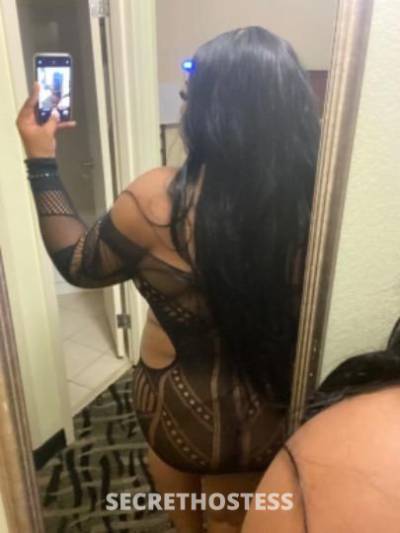 Bella 24Yrs Old Escort Jacksonville FL Image - 0