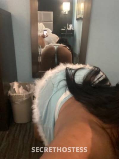 Bella 24Yrs Old Escort Jacksonville FL Image - 3