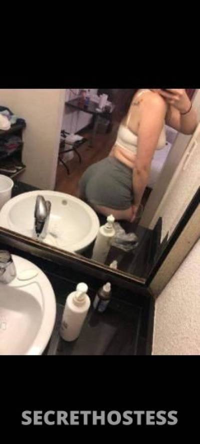 Bunny 25Yrs Old Escort Little Rock AR Image - 8