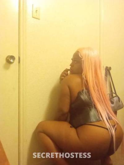 CaramelSundae 26Yrs Old Escort 160CM Tall Killeen TX Image - 0