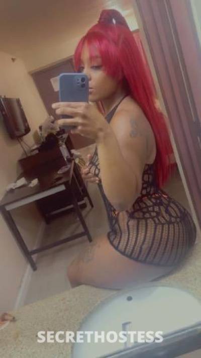 ChocolateBaaby 22Yrs Old Escort Dallas TX Image - 2