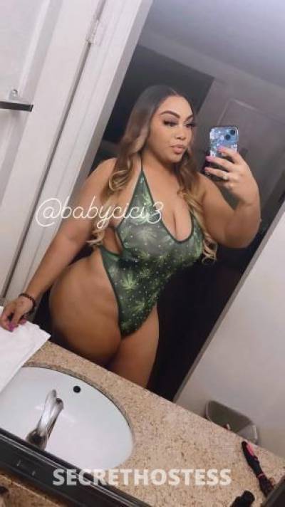 CiCi 26Yrs Old Escort Santa Barbara CA Image - 1