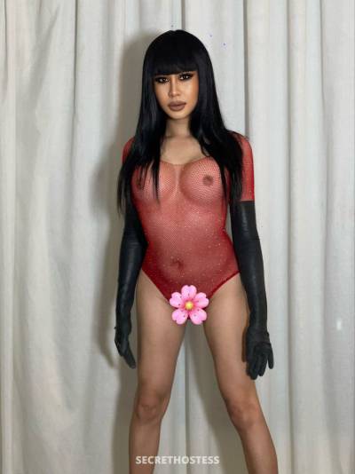 Dara 27Yrs Old Escort 56KG 172CM Tall Phuket Image - 4