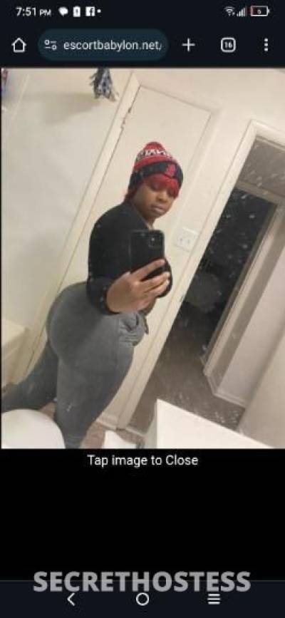 Frenchie 29Yrs Old Escort Saint Louis MO Image - 4