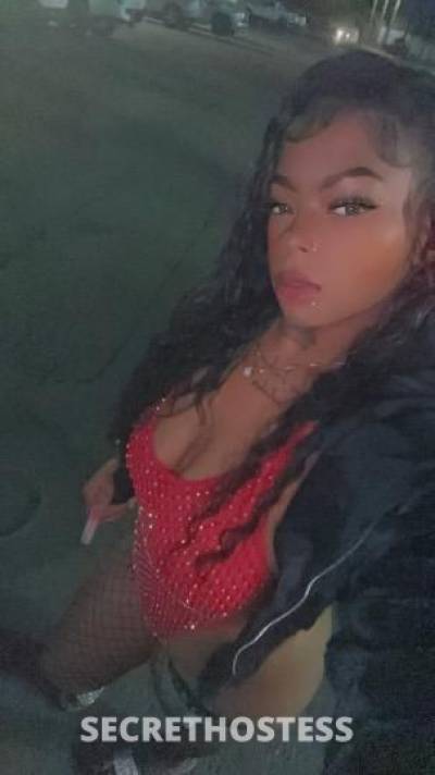 Liyahh 23Yrs Old Escort Visalia CA Image - 5
