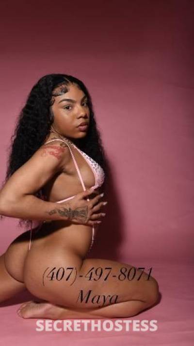 No gfe dont ask ‼exotic princess available 👸🏽💞 in San Fernando Valley CA