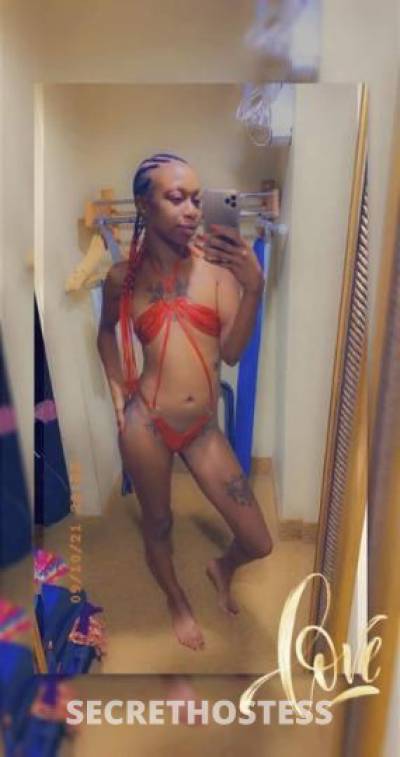 🍑Msz. GA Peach🍑Slim &amp; Sexcii🍑IN/OUTCALLS in Shreveport LA