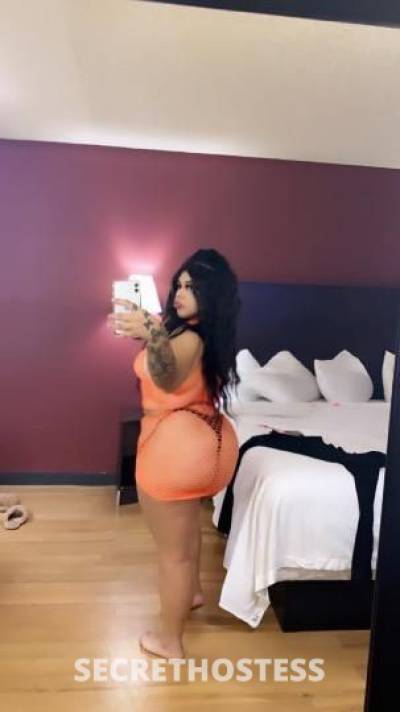 Nelly 24Yrs Old Escort Dallas TX Image - 3