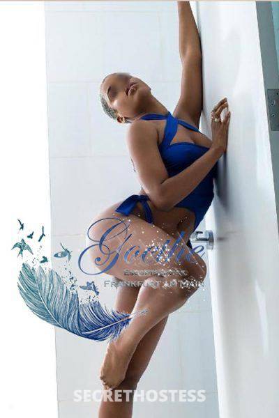 Ninia 25Yrs Old Escort 174CM Tall Frankfurt Image - 1