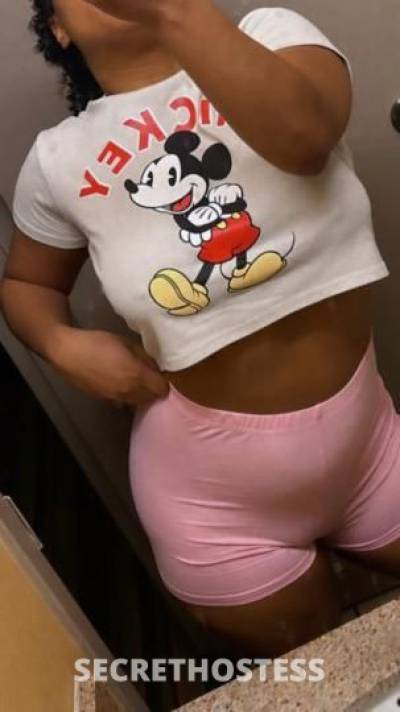 Phoenix 22Yrs Old Escort Brockton MA Image - 3