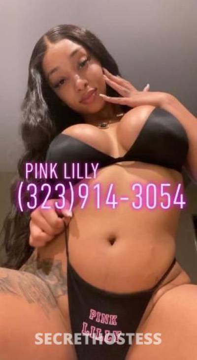 PinkLilly 23Yrs Old Escort Denton TX Image - 6