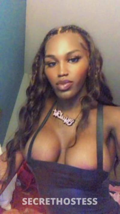 Pinkyy 24Yrs Old Escort Saint Louis MO Image - 1