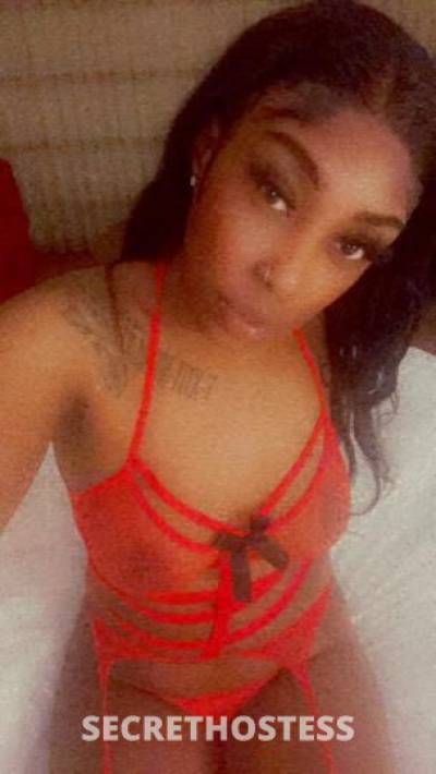 Shyy 22Yrs Old Escort San Francisco CA Image - 2