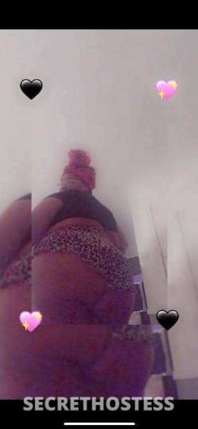 Star 30Yrs Old Escort Dallas TX Image - 3