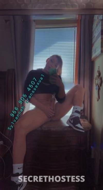 Sylvannah 25Yrs Old Escort McAllen TX Image - 10