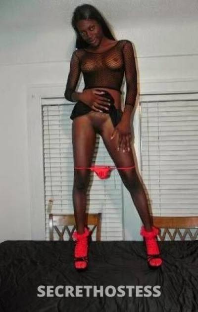 Tasha 34Yrs Old Escort Milwaukee WI Image - 2