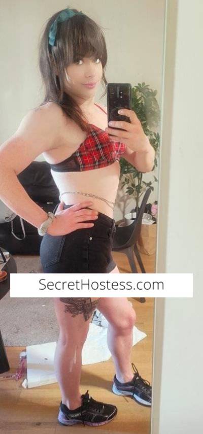 19Yrs Old Escort Size 8 62KG 170CM Tall Perth Image - 8