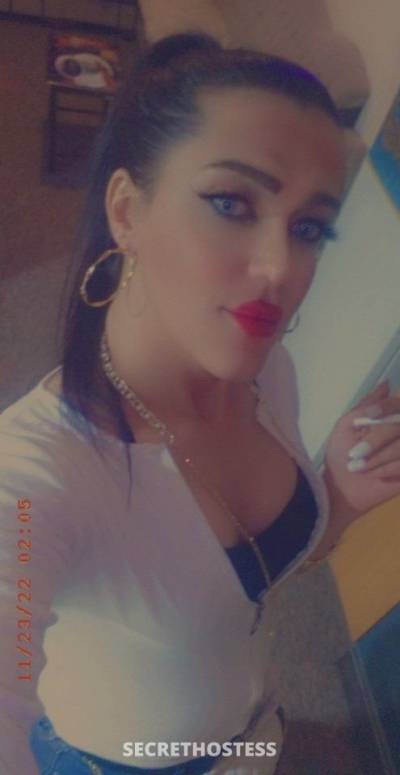 23Yrs Old Escort 173CM Tall Erbil Image - 4