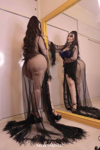 24Yrs Old Escort 168CM Tall Erbil Image - 15