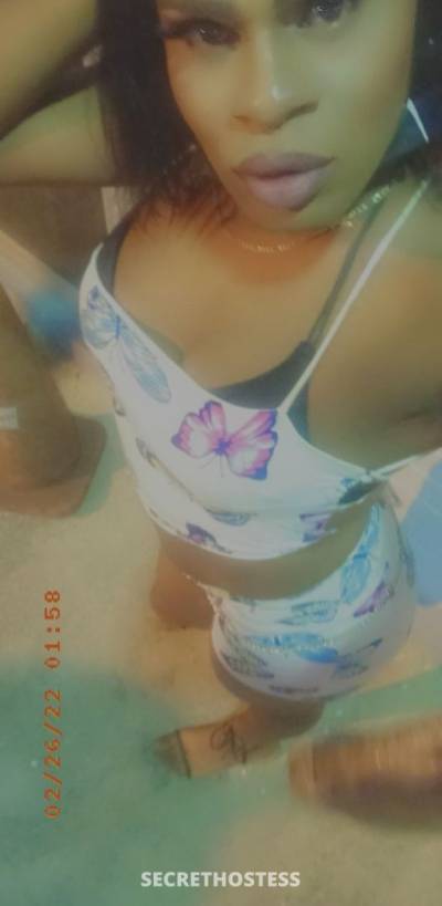 24Yrs Old Escort 175CM Tall Port of Spain Image - 1