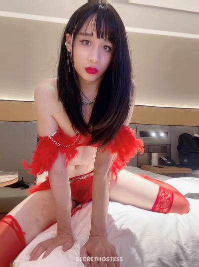 25 Year Old Asian Escort Shanghai - Image 4