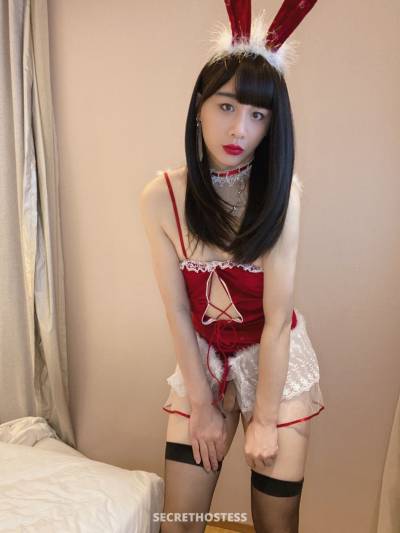 25Yrs Old Escort 172CM Tall Shanghai Image - 4