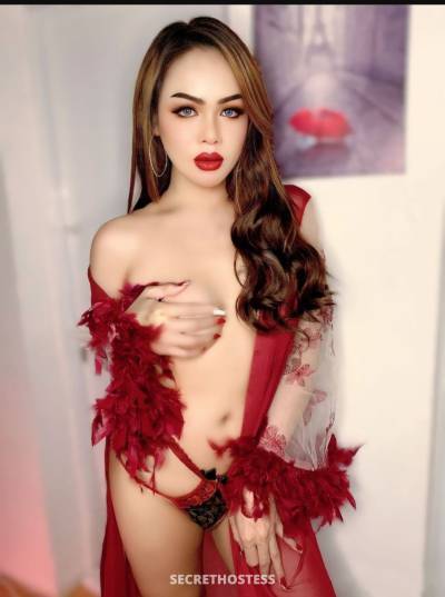 25Yrs Old Escort 175CM Tall Muscat Image - 12