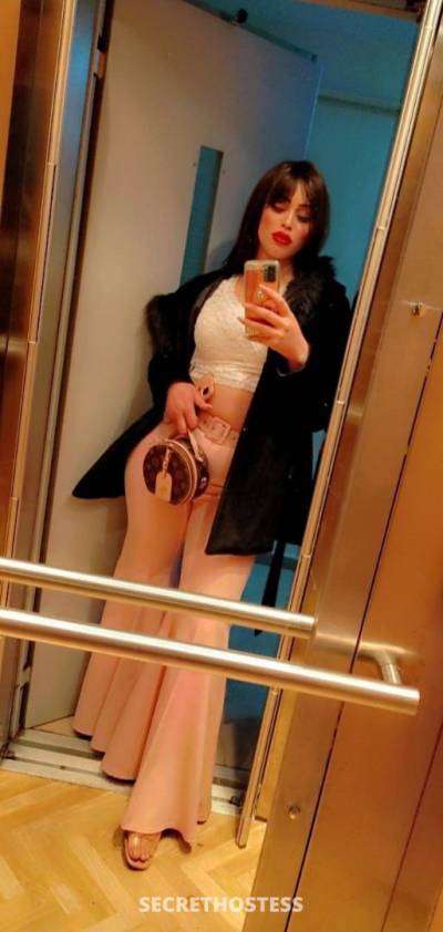 25 Year Old Lebanese Escort Dubai Brunette - Image 4