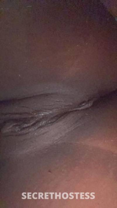 28Yrs Old Escort Tallahassee FL Image - 0