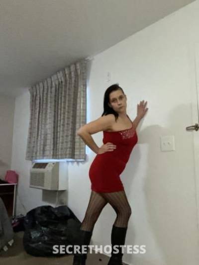 33Yrs Old Escort Tampa FL Image - 1