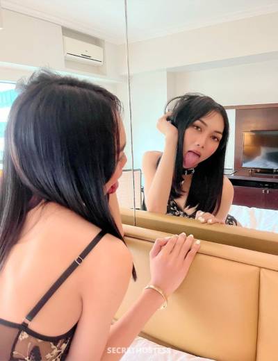 Ariana Torres (Dates &amp; Camshow), Transsexual escort in Manila