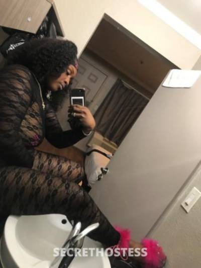 Bambii 24Yrs Old Escort North Bay CA Image - 3