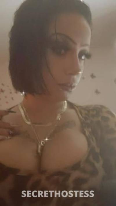 Brooke 34Yrs Old Escort South Bend IN Image - 4