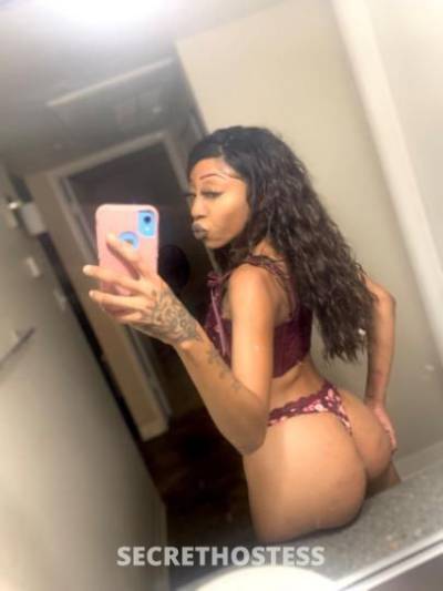 COOKIE 20Yrs Old Escort Phoenix AZ Image - 1