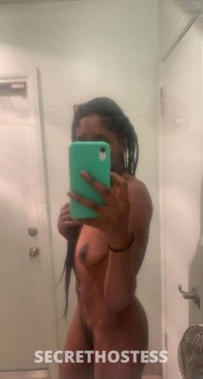 Cici 25Yrs Old Escort Fort Lauderdale FL Image - 0