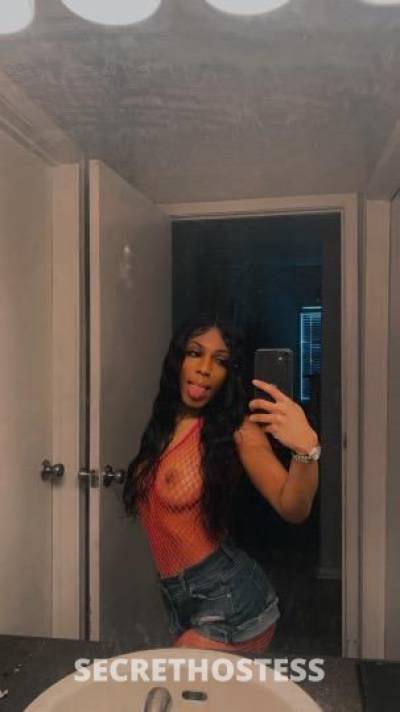 Diamond 20Yrs Old Escort Jacksonville FL Image - 9