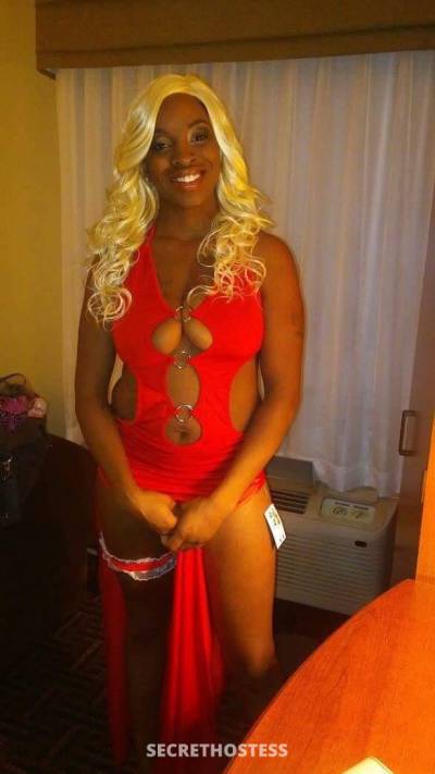 Dolly 31Yrs Old Escort Wichita KS Image - 1